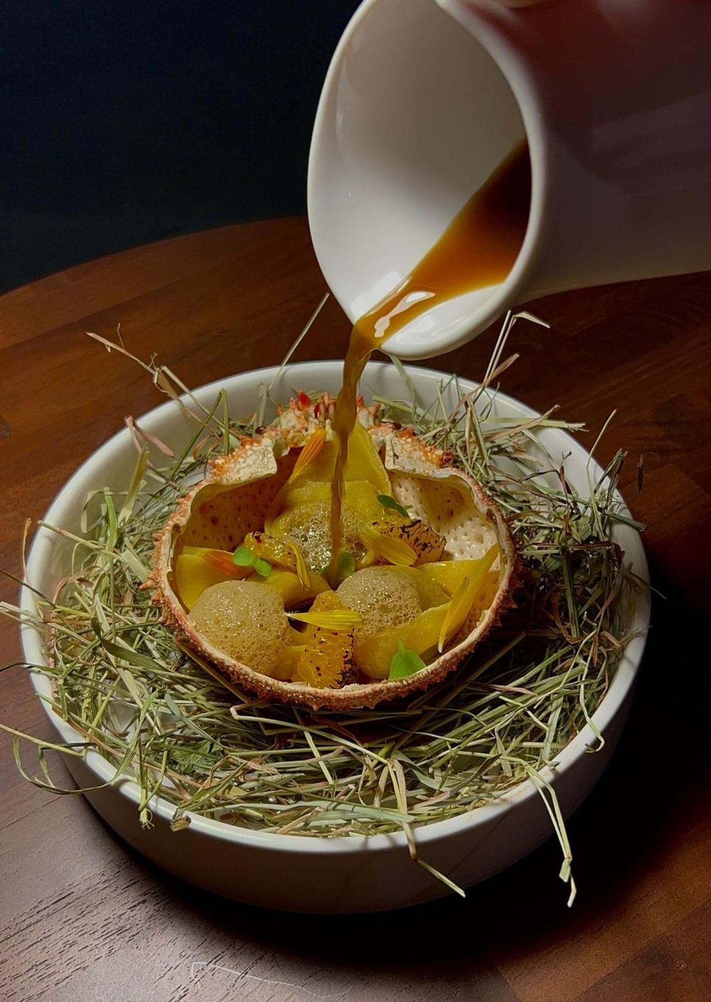 Hotel Maison Pavlov - Restaurant & Spa - Bordeaux Bouscat Le Bouscat Eksteriør bilde